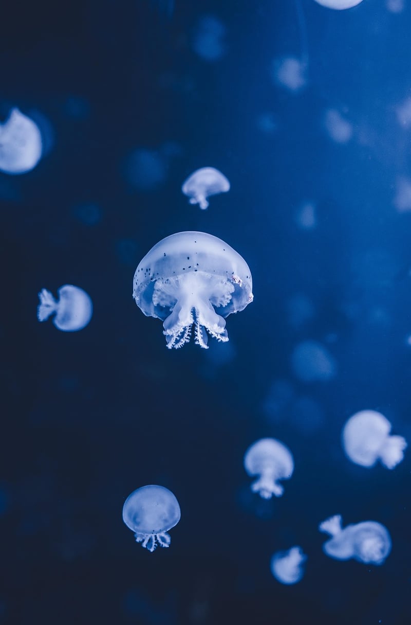 Underwater Hotel
